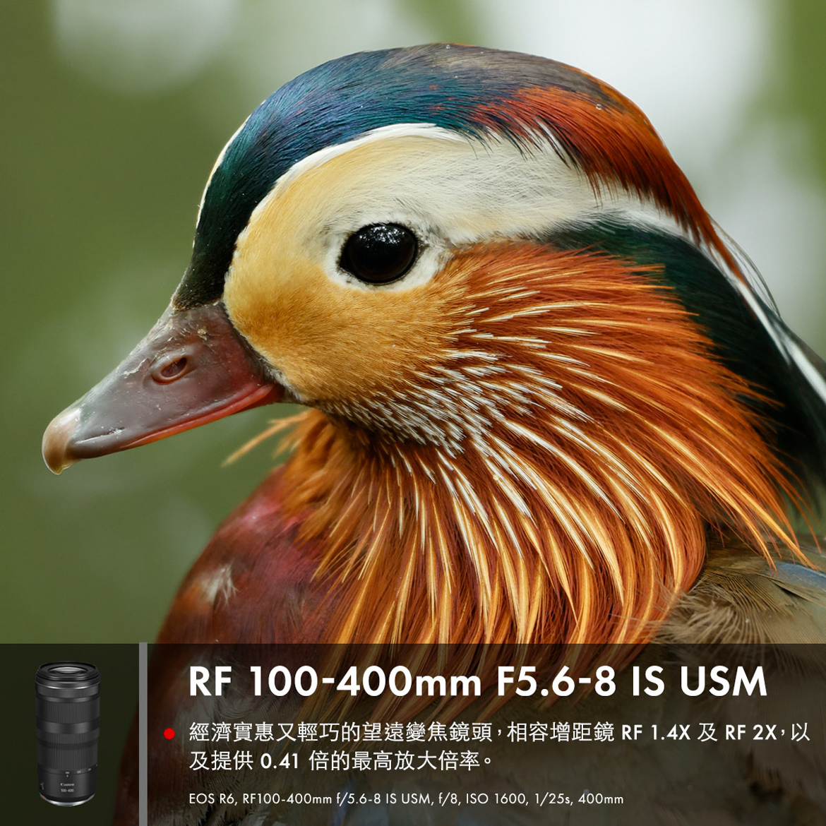 Canon 全新RF100-400 mm f/5.6-8 IS USM 輕巧高畫質望遠變焦鏡高達5.5